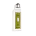 thumbnail image 1 of Loción corporal L'Occitane Verbena Refrescante con aroma a limón 250 ml, 1 of 7
