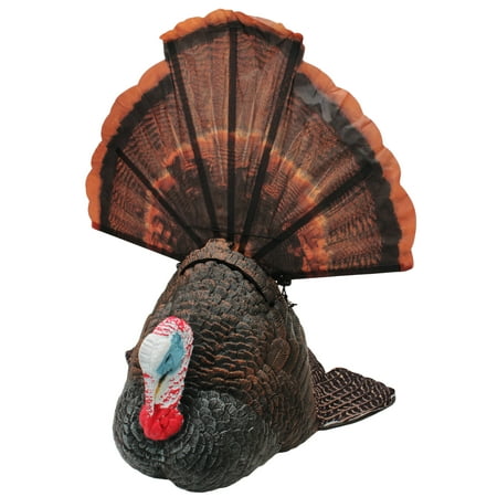 Mojo Shake N Jake Decoy (Best Jake Turkey Decoy)