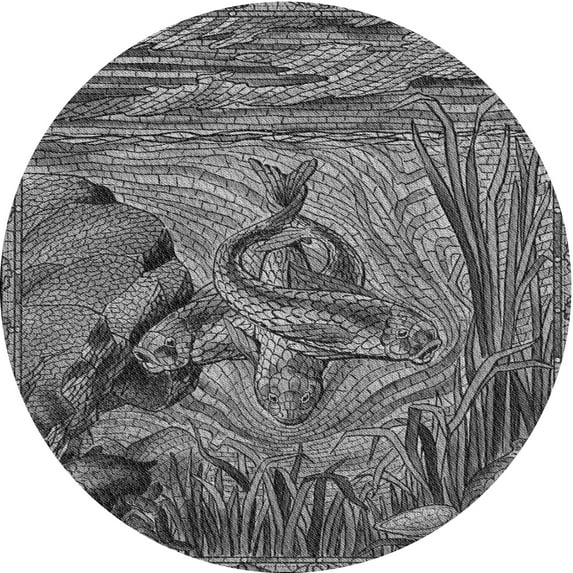 Ahgly Company Machine Washable Indoor Round Transitional Dark Gray Area Rugs, 8' Round