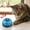 Blue, variant on Eoozwa Pet Training Bells, Dogs Bell for Door Potty Training and to Ring to Go Outside Communication Device Dog AgilityTraining Equipment Interactive Toys