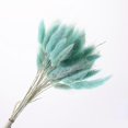 thumbnail image 1 of 30-Pack Natural Dried Flowers, Rabbit Tail Natural Botanical Flowers, 1 of 1