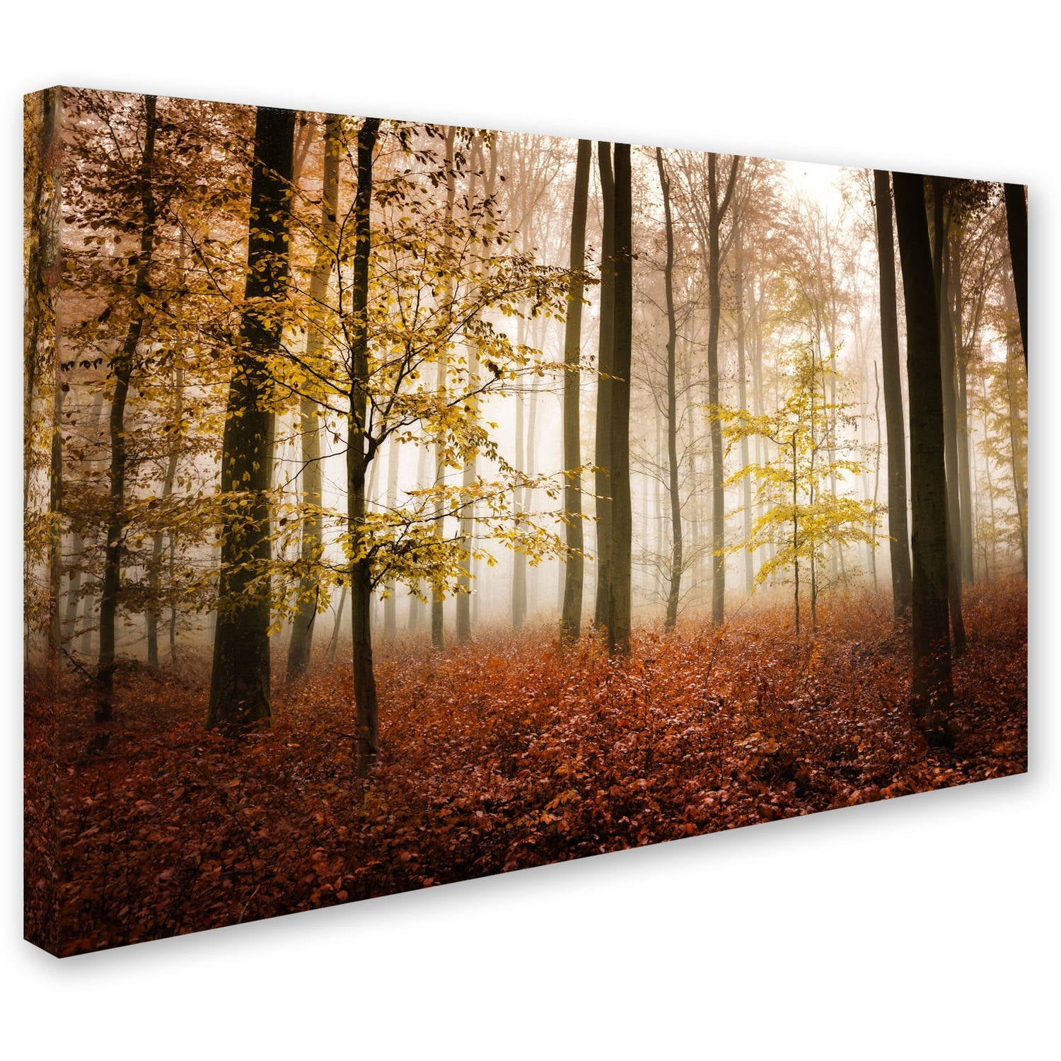 Trademark Fine Art "Calmness" Canvas Art by Philippe Sainte-Laudy