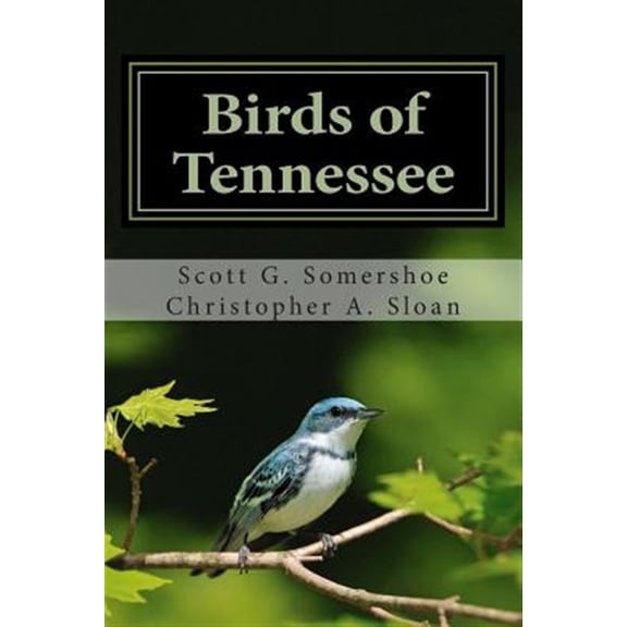 Pre-Owned Birds of Tennessee: A New Annotated Checklist (Paperback) by Christopher a Sloan, Scott G Somershoe