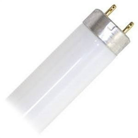 

Sylvania 22002 - FO32/850/XP/XL/ECO3 4 Foot Plus Straight T8 Fluorescent Tube Light Bulb