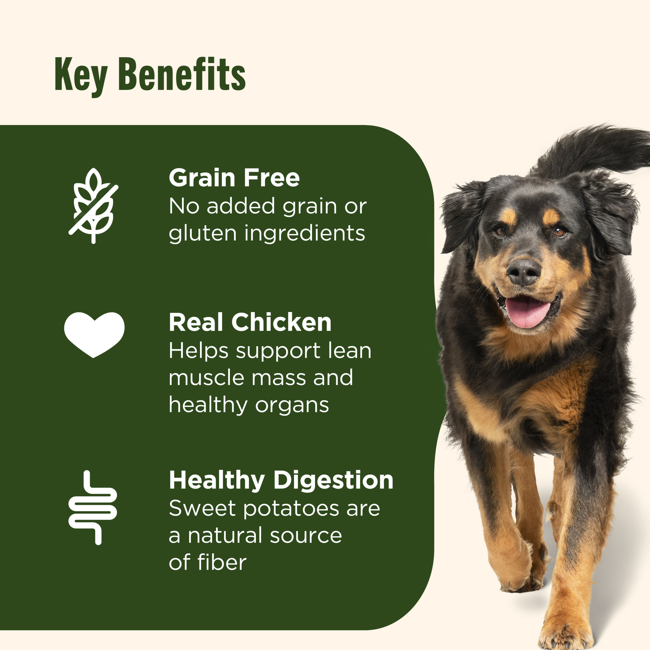 Nutrish Grain-Free Chicken Sweet Potato Dog Food by Rachael Ray photo 3