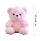 thumbnail image 4 of Lekihaqq Doll Plush Stuffed Animal Soft Cute Gift For Girlfriend Valentine Birthday Decoration, 4 of 8