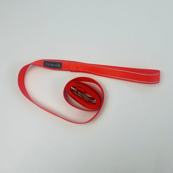 Homolck 5ft Leash for Pets, Dog Leash for Medium and Small Dogs, Red