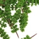 thumbnail image 4 of 100x árbol modelo tren paisaje árboles artificiales para manualidades de bricolaje, construcción CUTICAT Abetos modelo, 4 of 8