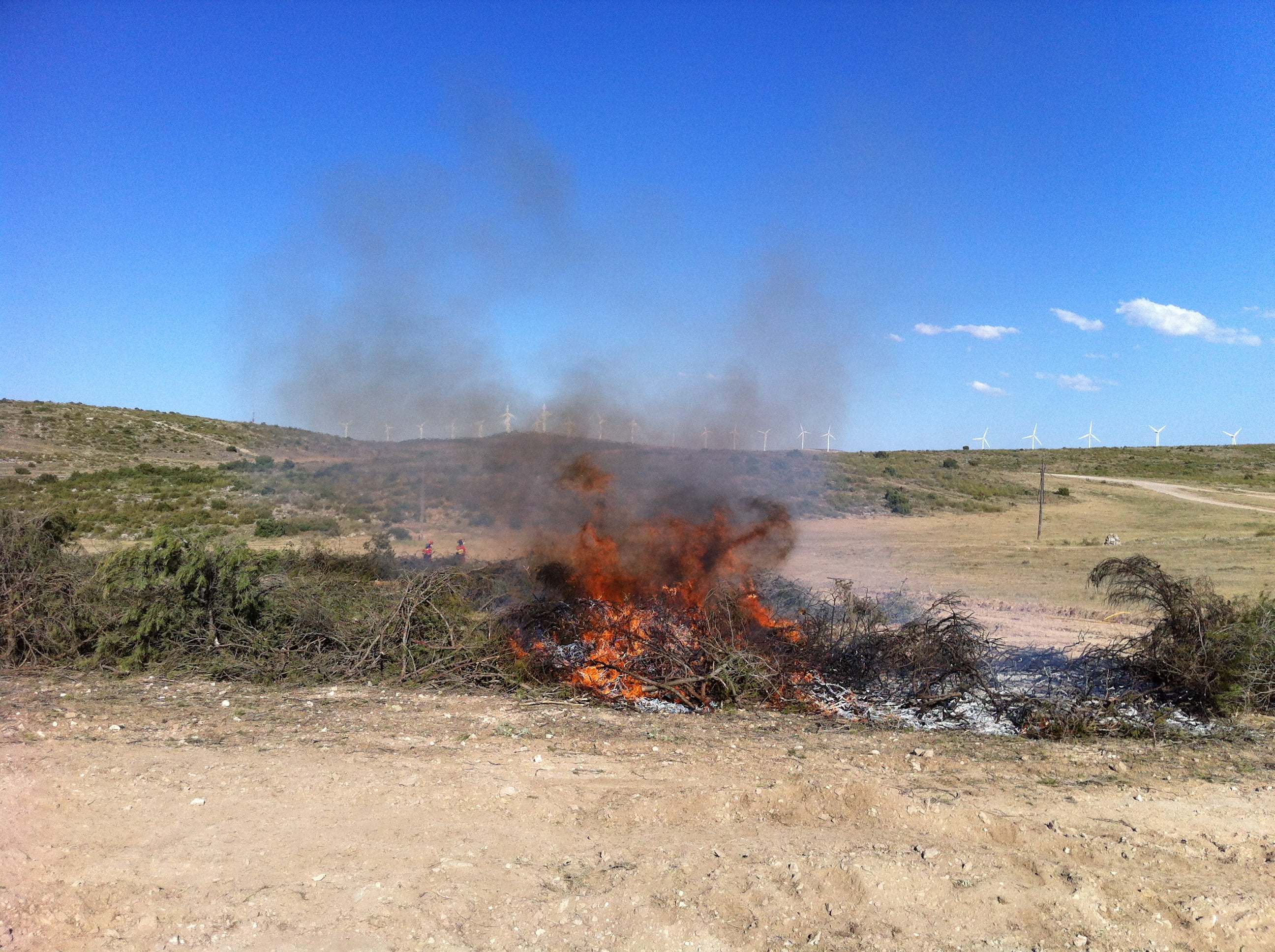 HOME PROTECTION - WILDFIRE SUPPRESSANT FS-01: Non-Toxic and Biodegradable Fire Suppressant