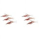 thumbnail image 1 of 6Pcs 6cm / 3G Artificial Pesca Senuelo Camaron Bionico Suave Cebo Pesca Trasto Noctilucent Luminoso Realista con Gancho Rojo, 1 of 5