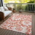thumbnail image 3 of Addison Rugs Chantille Indoor/Outdoor Transitional Floral Salmon Washable Rectangle Rug, 9' x 12', 3 of 9