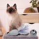thumbnail image 1 of Juguete para gatos Fernando Rompecabezas de gatos, 1 of 8