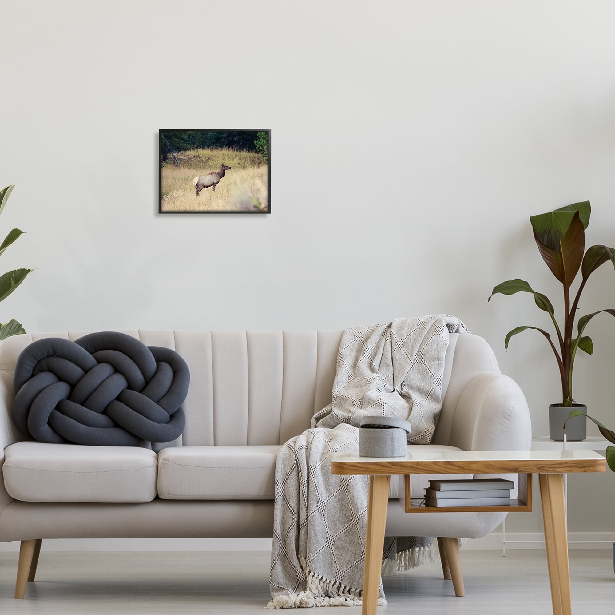 Stupell Wild Elk Nature Grove Photography Animals & Insects Photography Black Framed Art Print Wall Art