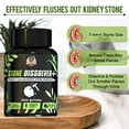 The Yoga Man Lab Stone Dissolver Kidney Detox Cleanse Purifier