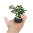 thumbnail image 5 of Unique Bargains Aquarium Plastic Plants, Silk Aquarium Plants Silk Plants for Betta Fish Tank 3.94" Tall, 5 of 7