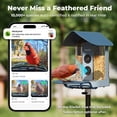 thumbnail image 6 of Kiwibit Solar Smart Bird Feeder with Camera, 4K Ultra Hd Video, AI Identifies 10000+ Species, Ideal Gift for Bird Lovers, Blue, 6 of 13