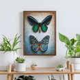 thumbnail image 3 of Diamond Dotz Antique Butterflies Diamond Painting Kits for Adults - Diamond Art Kits a Relaxing Creative Craft Kit with Dotz Gems 20.3x14.6, 3 of 6