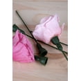 thumbnail image 1 of 100 Rose Stems For Preserved Roses 4.5in. Long 3.5in. Bendable Wired Stem., 1 of 3