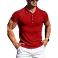 thumbnail image 1 of Camiseta de manga corta Sunloudy para hombre, estilo informal de verano y otoño, Color sólido, rayas verticales, botón frontal, solapa elástica, Tops, ropa de calle Sunloudy moda, 1 of 10