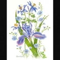 thumbnail image 2 of CafePress - Blue Bouquet Maternity T Shirt - Maternity Dark T-Shirt, 2 of 3