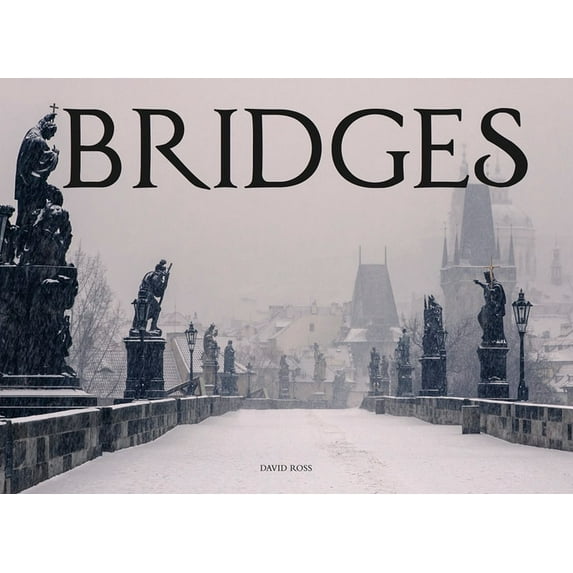 Pre-Owned Bridges (Hardcover) 1782745769 9781782745761