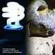 thumbnail image 3 of Bombilla UVB para reptiles, luz solar para reptiles UVB5.0-10.0 Lámpara UVB compacta para reptiles Bombilla UVB altamente versátil, 3 of 8