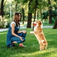 thumbnail image 5 of PEACNNG Strawberry Dog Chew Toy for Aggressive Chewers by , Durable Puppy Feeder Toys for IQ Training & Mental Enrichment, 5 of 5