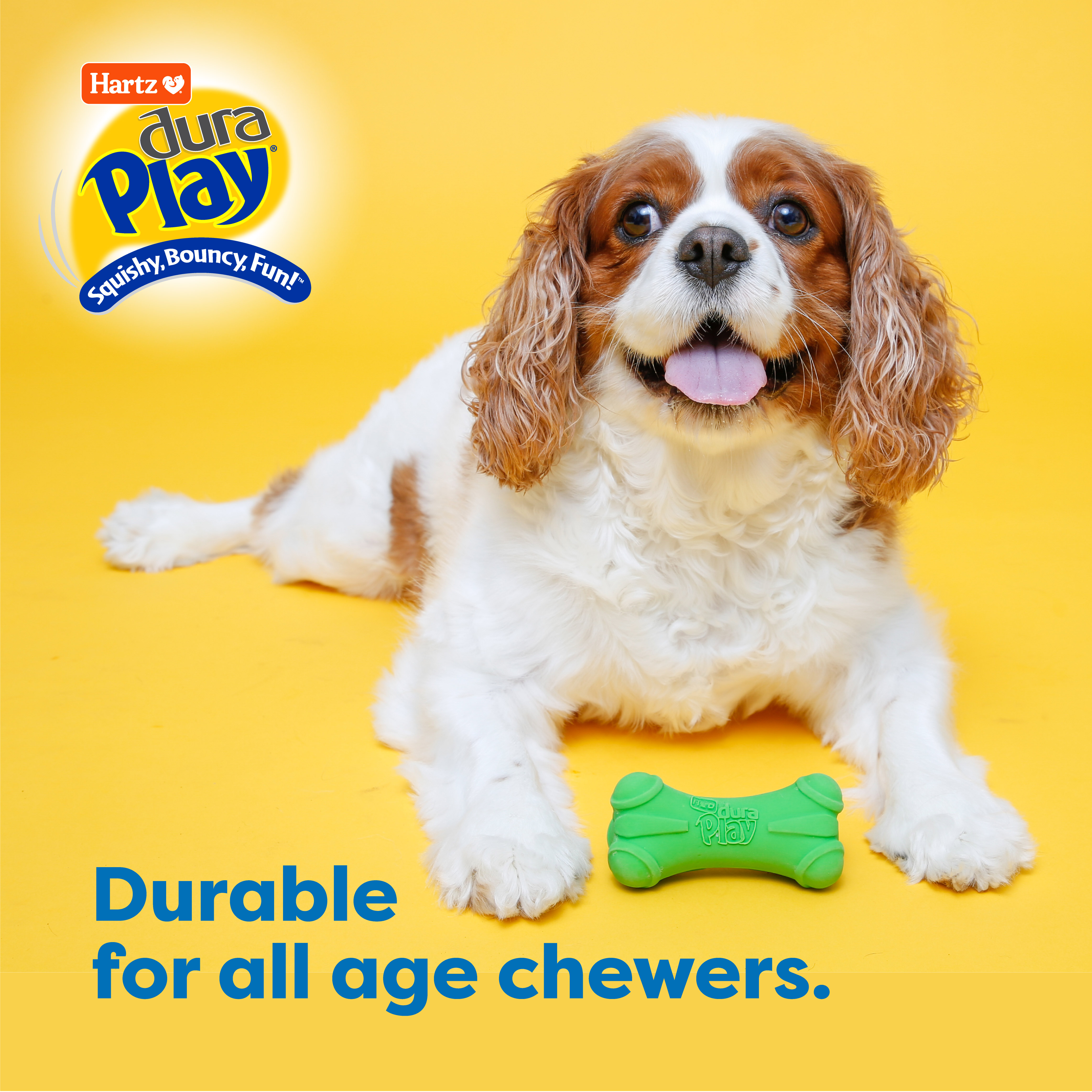 Hartz DuraPlay Medium Dog Bone Latex Toy photo 5