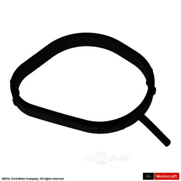 Motorcraft Thermostat Gasket Fits select: 2011-2019 FORD FIESTA