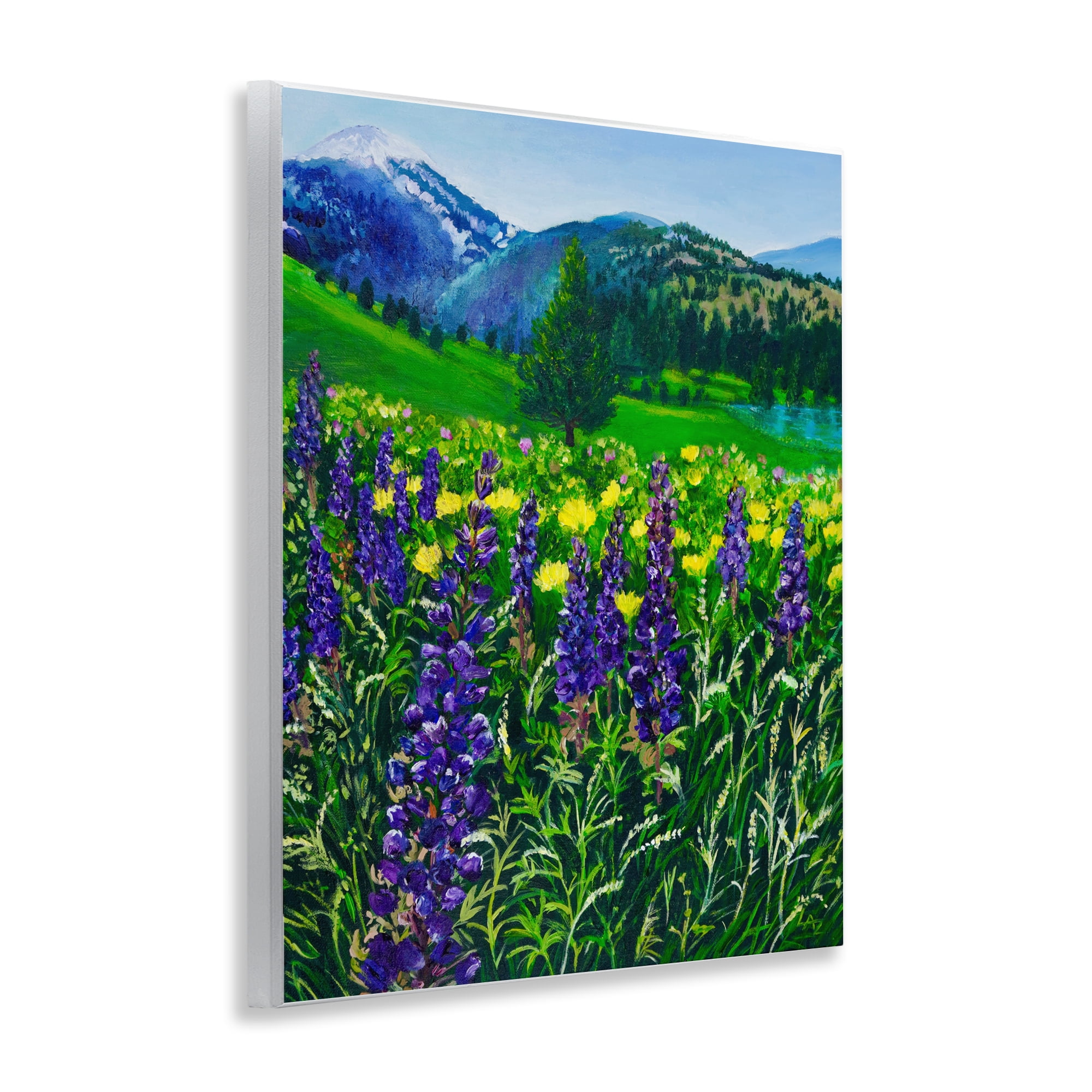Stupell Industries Flower Speckled Valley Wall Plaque Art, design by Lee Ann Zirbes