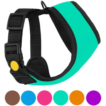 - Soft Mesh Dog Harness Neoprene Puppy Padded Vest Adjustable Outdoor Pet Harnesses for Small Dogs, Turquoise