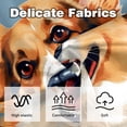 thumbnail image 3 of Corgi Luxurious Velvet Decorative Throw Pillow Inserts - Set of 2, Chair Pillow Covers - Unique Patterns, 16x16, 18x18, 20x20 Inches for Home Decor & More, 3 of 6