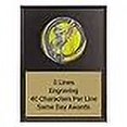 thumbnail image 2 of Motion Softball Plaque 6"X8" | Same Day Awards - Engraving Included, 2 of 4