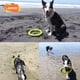 thumbnail image 2 of Juguete Interactivo LaRoo Negro para Perro con Limpieza Dental y Enriquecimiento, 2 of 8