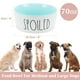 thumbnail image 2 of Tazón de Perro de Cerámica de 70Oz Unique Bargains 8" Tazón Grande para Agua de Perro Tazones Antideslizantes para Comida de Perro Grande Tazón a Prueba de Derrames Azul, 2 of 7