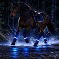 Clearance! LED Horse Light for Night Riding, Blue Horse Leg Light Band ...