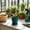 Navy, variant on SHJHENG Geometric Verticals Ribbed Plastic Plants Pot With Drainage Tray Modern Faceted Planter Indoor Decor Flower Pot For Succulents Houseplants