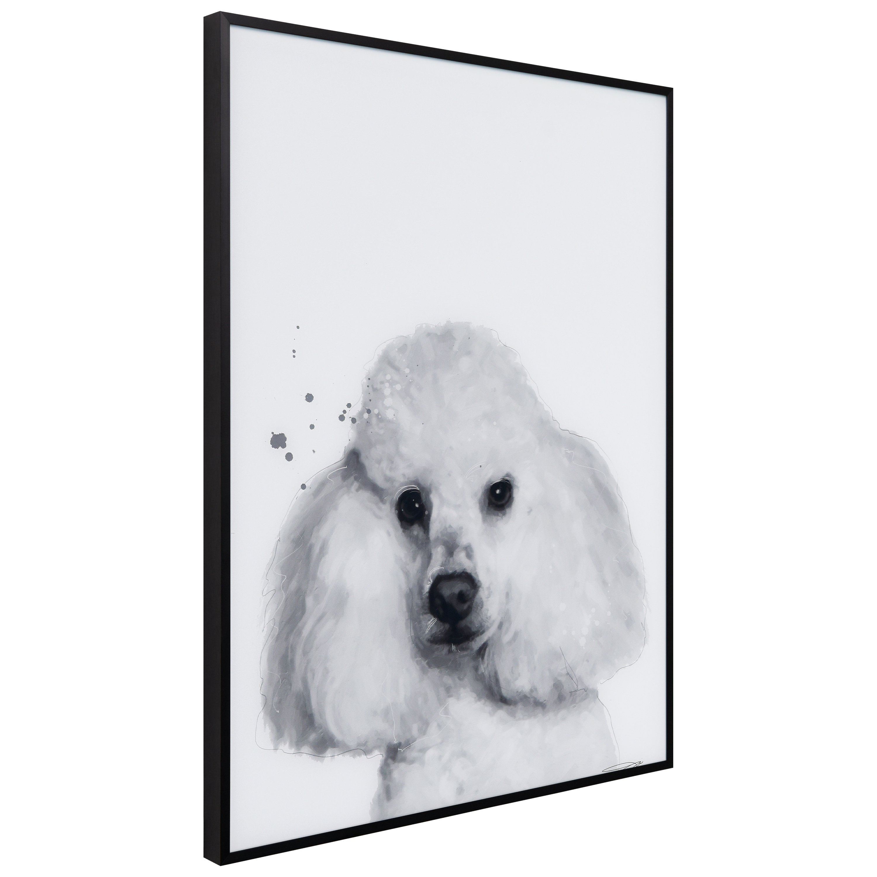 "Poodle" Black and White Pet Portraits on Reverse Printed Art Glass, Minimally Encased on Black Anodized Aluminum Frame