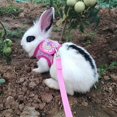 thumbnail image 4 of TUEUIO1，Flexible Rabbit Leash Harness Vest Comfort For Small Animal Guinea Pig Running - Snngv, 4 of 5