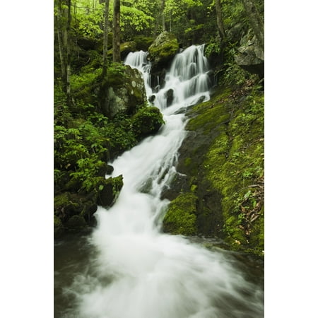 Tennessee United States Of America Spring Foliage And A Seasonal Waterfall In The Great Smoky Mountains National Park