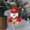 D-3D Home Decor, variant on karymi Christmas Decorations Christmas Tree Ornaments Old Man Doll Holding A Bells Christmas Decorations and Small Gifts Christmas Party Favors