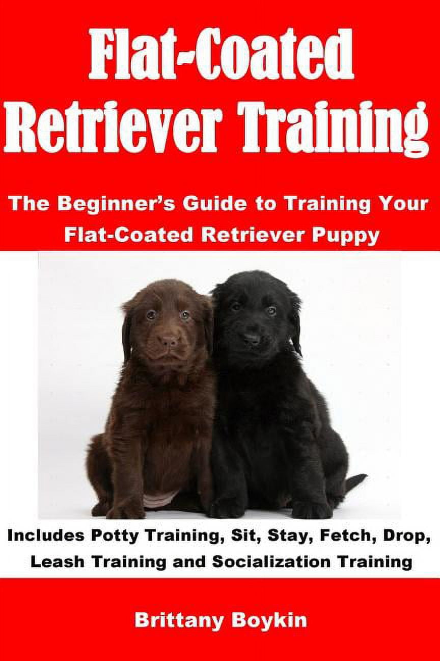 Labrador Retriever Training The Ultimate Guide to Training Your