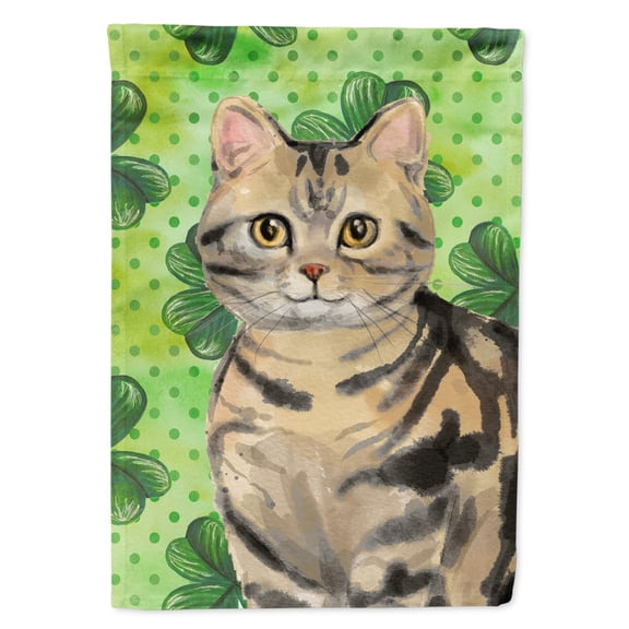 Carolines Treasures CK3058CHF American Shorthair Brown Tabby Shamrock Flag Canvas House Size  Large multicolor