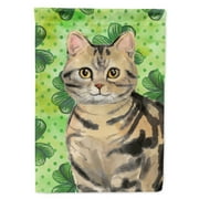 Carolines Treasures CK3058CHF American Shorthair Brown Tabby Shamrock Flag Canvas House Size Large multicolor