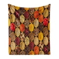 thumbnail image 1 of Spice Soft Flannel Fleece Blanket, Containers Filled with Various Exotic Herbal Ingredients Seasoning in Kitchen Print, Cozy Plush for Indoor and Outdoor Use, 50" x 70", Multicolor, by Ambesonne, 1 of 6