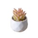 thumbnail image 1 of Yuarrent Simulación de plantas suculentas artificiales, bonsái, flor falsa con maceta, manualidades, sala de estar, hogar, jardín, Type5 NO5, 1 of 6