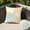 Multicolor459, variant on Tuvgenk Summer Outdoor Waterproof Pillow Cover 18x18 for Patio Sofa, Tropical Leaf Print Cushion Case for Garden