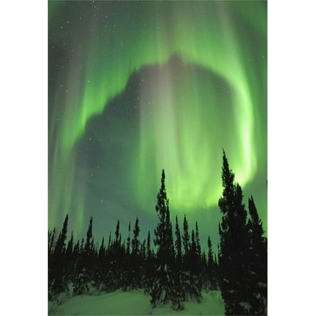 MOHome Polyester Fabric 5x7ft Artistic Photography Studio Background Girl Photo Shoot Backdrops Travel Aurora Borealis Snow Tree Northern Lights Natural View (Best Camera For Aurora Borealis)
