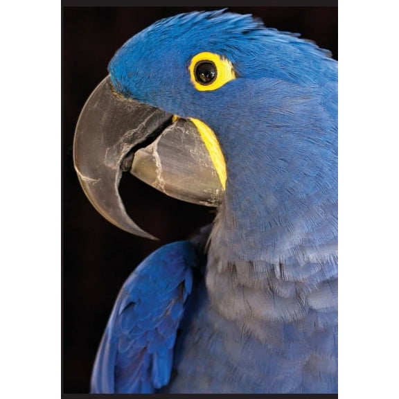 Princess Tara Chronicles Kālarātri or Black Night Trilogy, (Hardcover)