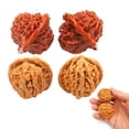 thumbnail image 6 of Clearance!Natural Chinese Wenwan Walnuts,Chinese Walnuts Fidget - 2026 New Wenwan Walnut（2 Set), 6 of 6